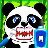 الدب الباندا طبيب الأسنان