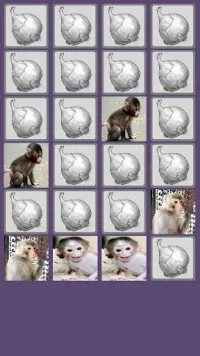 Monyet Permainan Memori Screen Shot 1