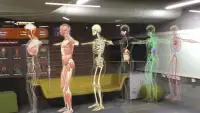 Human Anatomy 4D-Mixed Realit‪y Screen Shot 0