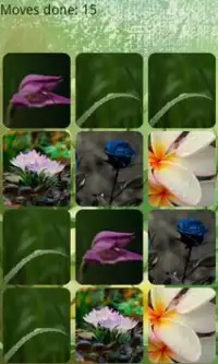 Flowers Memory HD Screen Shot 1