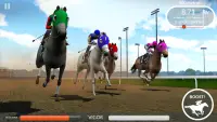 Photo Finish Horse Racing Screen Shot 5