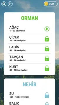 WOW: Türkçe oyun Screen Shot 2