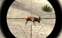 Wild Deer Sniper Hunter 2016 Screen Shot 3