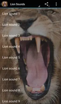 Lion Sounds Screen Shot 0