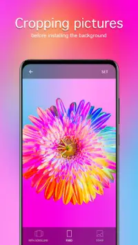 Flower Wallpapers 4K Screen Shot 3