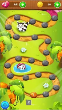 Raccoon Ball Crush Screen Shot 1