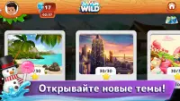 Wild Cards - карточные игры онлайн и оффлайн Screen Shot 4