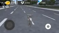 Cat Simulator 2016 Screen Shot 2