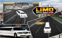 Limo Car Driving 3D Simulator Screen Shot 7