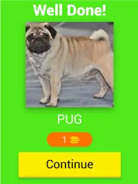 Guess dog breeds Screen Shot 21