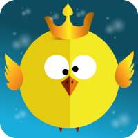 Lost king bird