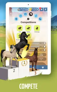 Howrse - free horse breeding farm game Screen Shot 12