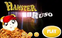 Hamster Ruso-Game Free Screen Shot 0