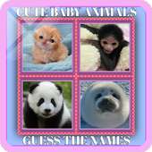 Cute Baby Animals - Guess The Names
