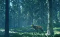 The Hunter: The Wild is call Screen Shot 0