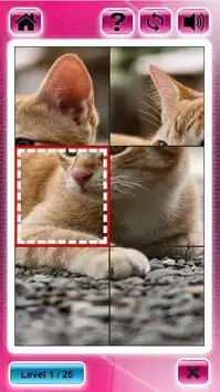 Cute Cat Puzzle Screen Shot 2