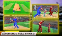 Indian Cricket League Game - T20 Cricket 2020 Screen Shot 17