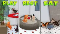 Cat Simulator: Kitten Adventure 2021 Screen Shot 2
