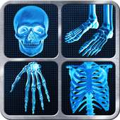 X-Ray cuerpo completo Prank