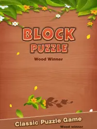 Block Puzzle: Lucky Wood Screen Shot 5