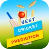 Expert Cricket Prediction