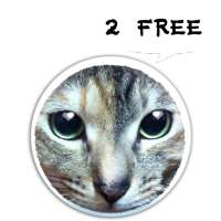 Paper Bag MOMO 2 (cat app)