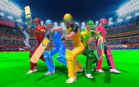 Indian Cricket League Game - T20 Cricket 2020 Screen Shot 4