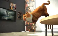 Cat Simulator 2019: Kitty Cat VS Rat Game Screen Shot 1