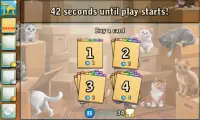 Bingo Cats Screen Shot 2