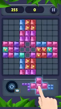 Block Puzzle Star 2021 Screen Shot 4