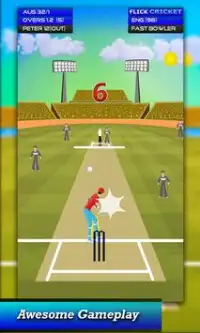 Flick Cricket Screen Shot 3