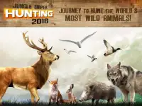 Jungle Sniper Hunting 3D 2016 Screen Shot 0