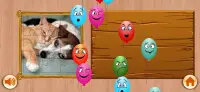 Dog & Cat Puzzle - Rompecabezas-Puppy kitty Doggy Screen Shot 7