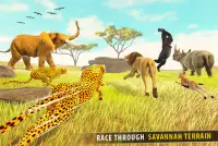 Savanna Animal Racing 3D: Wild Animal Games Screen Shot 1