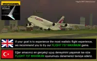 Flight 787 - Advanced - Lite Screen Shot 0