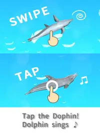 Tap Dolphin -3Dsimulation game Screen Shot 7