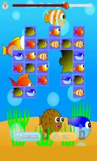 Fish Match Game Screen Shot 7