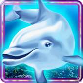 Dolphin Pearl Elite Slot