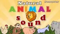 Natural Animal Sound for Kids Screen Shot 0