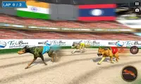 Real Dog Racing Tournament Screen Shot 3