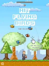 Hit Flying Birds Screen Shot 4