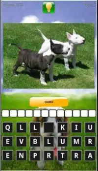 Puppy Dog Breeds Quiz Screen Shot 2