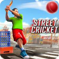Giải vô địch cricket đường phố