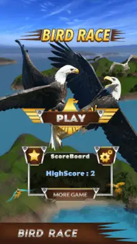 Bird Race Screen Shot 0