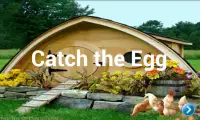 Catch the Egg Classic Screen Shot 1
