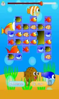 Fish Match Game Screen Shot 6