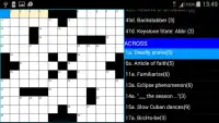 Crosswords US Style : ACE Vol1 Screen Shot 2