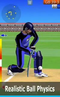 Smashing Cricket: cricket game Screen Shot 18