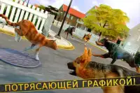 🐾 Игры Кошка Симулятор 3д 🐾 Screen Shot 2