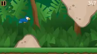 Flappy Bluejay Fly! Screen Shot 2